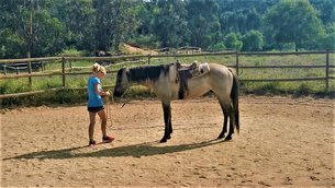 Sundance Ranch | Horseback Riding - Rated 1