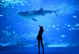 Sunpiazza Aquarium in Japan, Hokkaido | Aquariums & Oceanariums - Rated 3.2