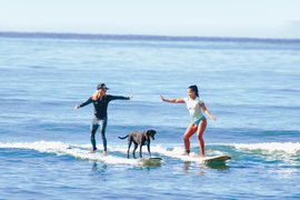 Maui Surfer Girls | Surfing - Rated 4.3