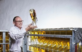 Szigeti Sparkling Wine Cellar in Austria, Burgenland | Wineries - Rated 0.9