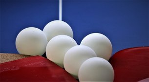 Table Tennis Academy STAK in Serbia, City of Belgrade | Ping-Pong - Rated 0.9