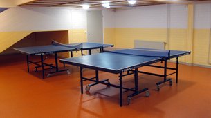 Table Tennis Hall | Ping-Pong - Rated 0.7