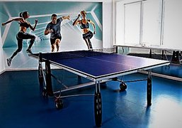Table tennis in Ukraine, Kyiv Oblast | Ping-Pong - Rated 0.9