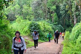 Tadiandamol in India, Karnataka | Trekking & Hiking - Rated 3.8