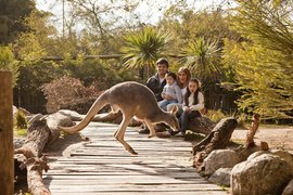 Temaiken | Zoos & Sanctuaries - Rated 6.2