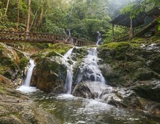 Templer Park in Malaysia, Selangor | Trekking & Hiking - Rated 0.9