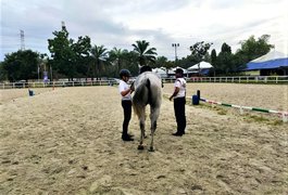 Terra Horses Stable | Horseback Riding - Rated 1