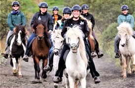 The Icelandic Horse in Iceland, Southern Region | Horseback Riding - Rated 1.2