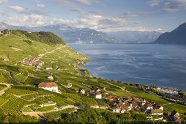 The Lavaux Vineyard in Switzerland, Canton of Vaud | Wineries,Trekking & Hiking - Rated 1