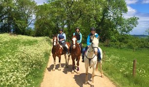 The London Equestrian Centre in United Kingdom, Greater London | Horseback Riding - Rated 0.8