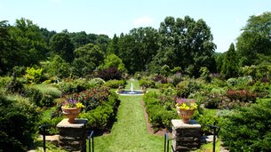The Morris Arboretum of the University of Pennsylvania in USA, Pennsylvania | Gardens - Rated 3.9