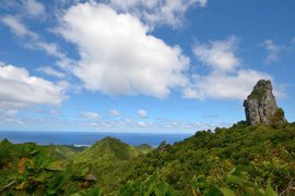 The Needle Walk in Cook Islands, Rarotonga | Trekking & Hiking - Rated 3.6