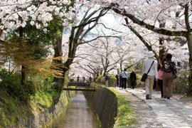 The Philosopher’s Path in Japan, Kansai | Trekking & Hiking - Rated 0.8