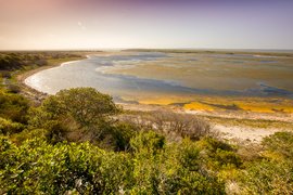 The Salty Estuary in Mexico, Jalisco | Nature Reserves - Rated 0.8