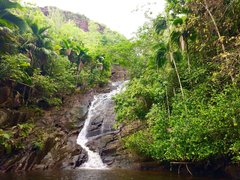 Sauzier Waterfall in Republic of Seychelles, Mahe | Waterfalls - Rated 3.3