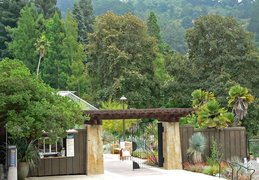 The University of California Botanical Garden