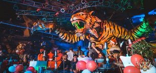 Tiger | Nightclubs - Rated 3.4