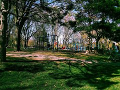 Trinity Bellwoods Park in Canada, Ontario | Parks - Rated 3.8