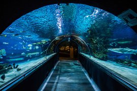 Tropicarium-Oceanarium in Hungary, Central Hungary | Aquariums & Oceanariums - Rated 5