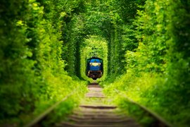 Tunnel of Love in Ukraine, Rivne Oblast | Love & Romance - Rated 3.6