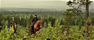 Tuomarinkylan Maneesi Oy in Finland, Uusimaa | Horseback Riding - Rated 0.8