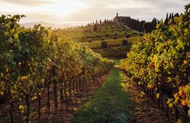 Guardastelle in Italy, Tuscany | Wineries - Rated 4