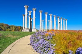 US National Arboretum in USA, District of Columbia | Parks - Rated 3.9