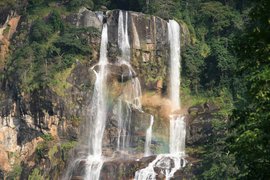 Udzungwa Mountains National Park in Tanzania, Iringa Region | Waterfalls,Trekking & Hiking - Rated 0.9