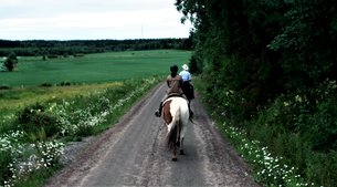 Children's and youth sports school Burevisnik in equestrian sports in Ukraine, Lviv Oblast | Horseback Riding - Rated 1
