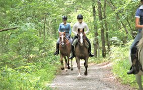 Umikaze Horse Farm in Japan, Kyushu | Horseback Riding - Rated 0.9