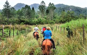 Unikornis Lovarda | Horseback Riding - Rated 1.1