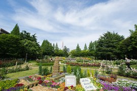 Utsubo Park in Japan, Kansai | Parks - Rated 3.2