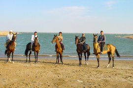 Konnyy Klub Akhalteke in Uzbekistan, Tashkent Region | Horseback Riding - Rated 1