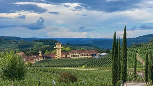 Winery Michele Carraro | Wineries - Rated 3.9