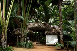 Vallee de Mai Nature Reserve | Nature Reserves,Trekking & Hiking - Rated 3.3