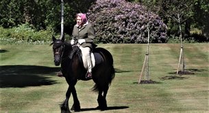 Victoria Racecourse | Horseback Riding - Rated 4.1