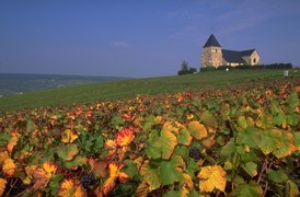 Vignoble Klur in France, Grand Est | Wineries - Rated 0.8