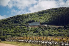 Wine Eden in Uruguay, Maldonado Department | Wineries - Rated 0.8