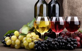 Wines Radovan in Croatia, Istria | Wineries - Rated 1