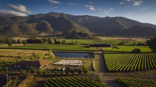 Secret Valley Wineries in Chile, O'Higgins Region | Wineries - Rated 0.9