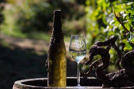 Acumincum Winery | Wineries - Rated 0.9