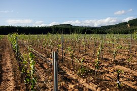 La Vina Del Senor - Winery in Chile, Santiago Metropolitan Region | Wineries - Rated 0.9