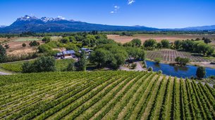 Nant and Fall Wineries in Argentina, Chubut Province | Wineries - Rated 3.8