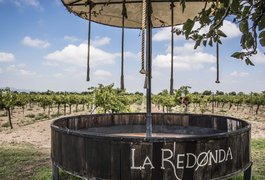 La Redonda Wineries | Wineries - Rated 5.3