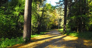 Vingis Park | Parks,Trekking & Hiking - Rated 4.3
