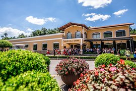 Goes Winery in Brazil, Southeast | Wineries - Rated 4.9