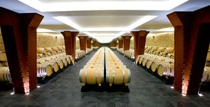 Vivanco in Spain, Basque Country | Wineries - Rated 4