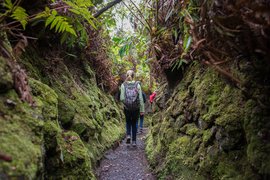 Halema'uma'u Trail in USA, Hawaii | Trekking & Hiking - Rated 0.7