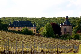 Vollrads Castle Winery | Wineries,Castles - Rated 3.7