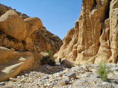 Wadi Abadilah in United Arab Emirates, Emirate of Dubai | Trekking & Hiking - Rated 0.9